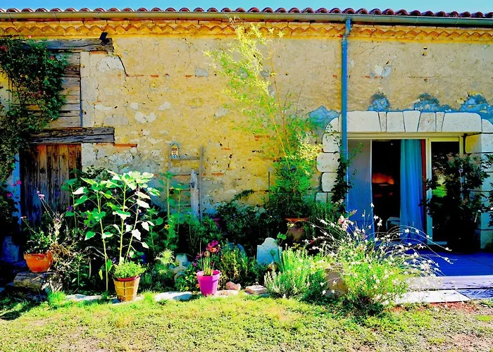 Lacoste Lantställe *